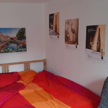 Gite De Benedicte Ancienne Douane Colmar Exterior foto
